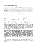 11/10/2019  Bulletin Insert